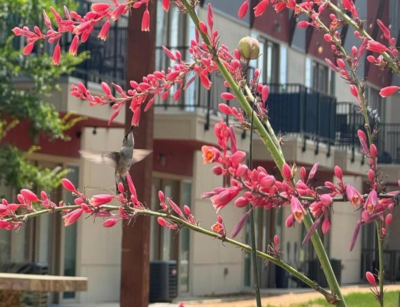 Apartment Galei *